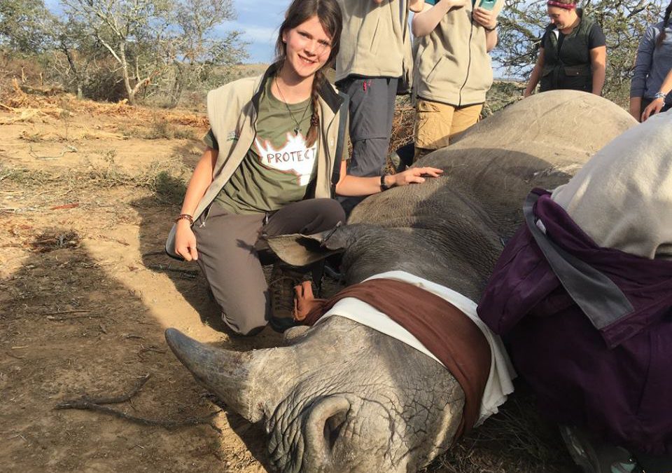 Project Protect Rhino – Raising Funds For Rhino Conservation